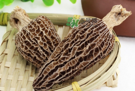 羊肚菌為什么那么貴？羊肚菌為什么這么貴