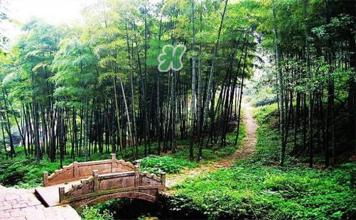 夏天去哪里旅游最好？夏天旅游哪里涼快？