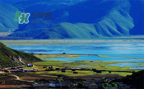 夏天去哪里旅游最好？夏天旅游哪里涼快？
