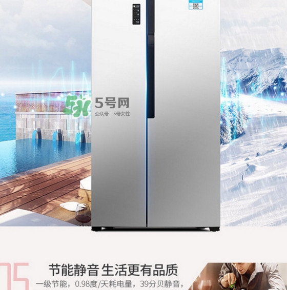 冰箱究竟該買幾個(gè)門的？什么牌子的冰箱最好