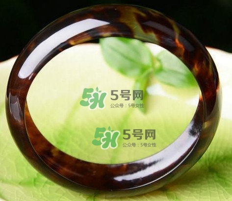 玳瑁是什么？玳瑁是國(guó)家保護(hù)動(dòng)物嗎？