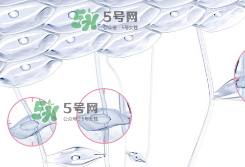 嬌韻詩青春賦活兩件套裝多少錢？嬌韻詩全新青春賦活系列怎么樣？