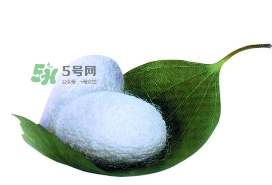 蠶繭多少錢一斤2017？2017年蠶繭價格是多少？