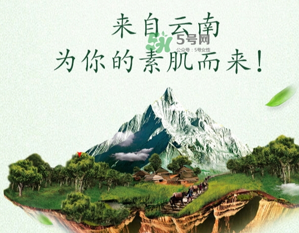 采之汲是什么牌子？采之汲是什么檔次？