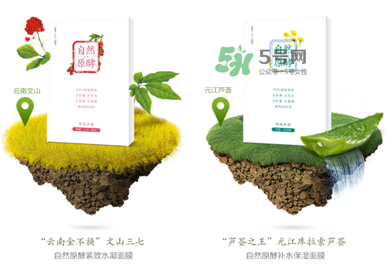 采之汲自然原酵面膜怎么用？采之汲自然原酵面膜使用心得