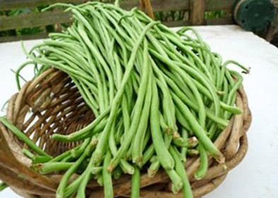 缸豆可以包餃子嗎？缸豆能放冰箱嗎