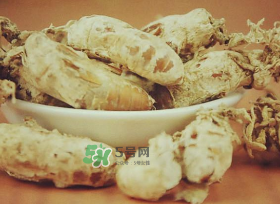 野生金蟬花多少錢一只？野生金蟬花價(jià)格