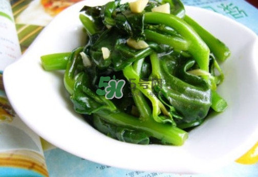 木耳菜是什么季節(jié)的菜？木耳和木耳菜有區(qū)別嗎