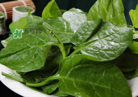 木耳菜可以生吃嗎？木耳菜可以涼拌嗎