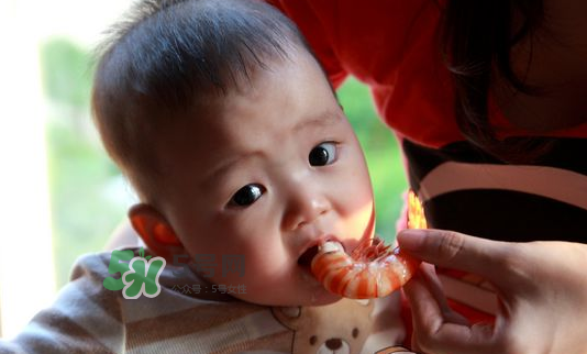 寶寶吃蝦不能和什么一起吃？寶寶吃蝦的注意事項(xiàng)
