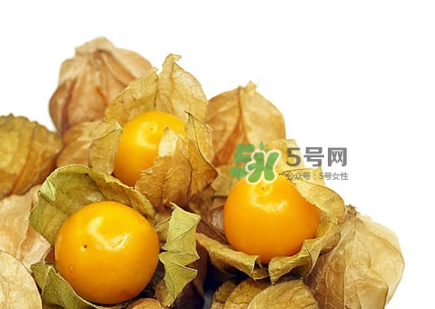 姑娘果怎么挑選？姑娘果產(chǎn)地在什么地方