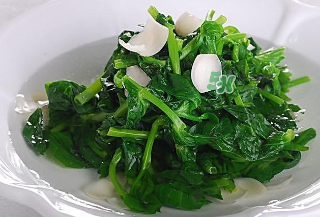 木耳菜是什么菜？木耳菜對(duì)人有哪些好處？