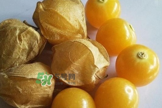 菇娘果皮有用還是果實(shí)有用？紅菇娘泡水喝用皮還是用果
