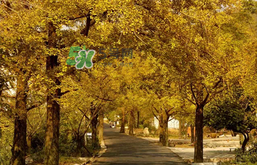 9月份去浙江穿什么？九月份去浙江穿什么衣服