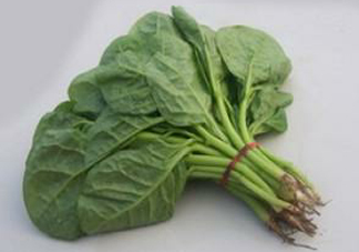 木耳菜怎么清洗？木耳菜怎么擇？