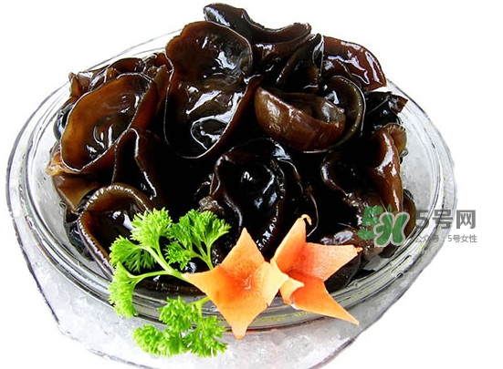 木耳菜是什么季節(jié)的菜？木耳和木耳菜有區(qū)別嗎