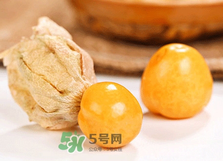 菇娘不能和什么一起吃？紅菇娘泡水喝有什么好處