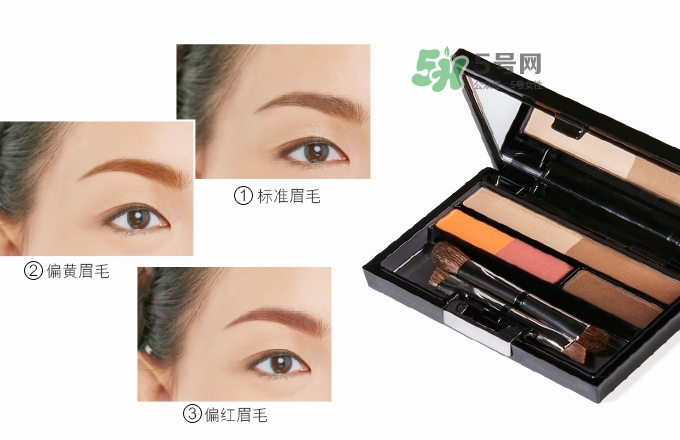 ipsa五色眉粉怎么用？ipsa茵芙莎五色眉粉使用方法
