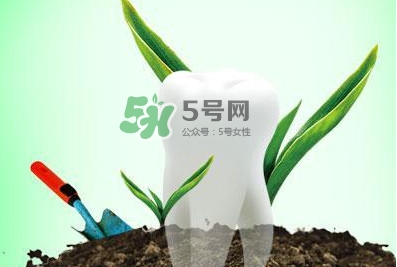 種植牙多少錢一顆？為什么種植牙很貴