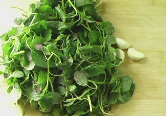 野莧菜怎么做好吃？野莧菜怎么保存