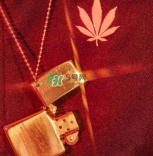 palm angels是什么牌子_哪個國家的_什么檔次？
