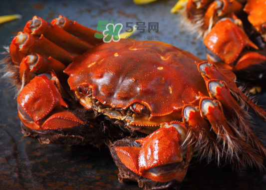 2017年陽澄湖大閘蟹多少錢一斤？2017陽澄湖大閘蟹價格