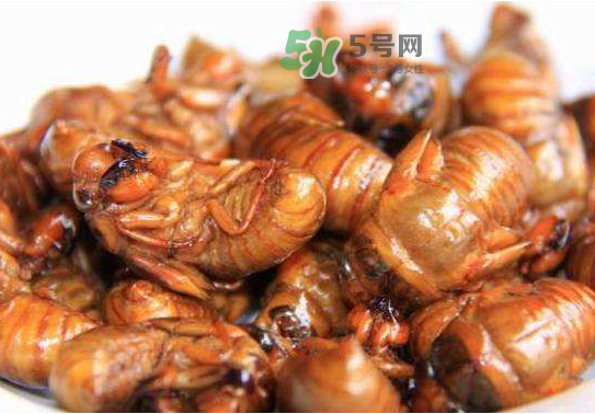 立秋后的知了還能吃嗎？立秋還有知了猴嗎？