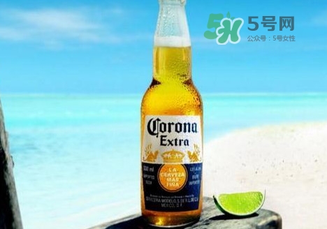 科羅娜啤酒多少錢一瓶？科羅娜啤酒好喝嗎