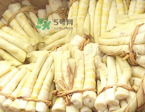 苦筍做法有哪些？苦筍怎么處理才不會(huì)苦
