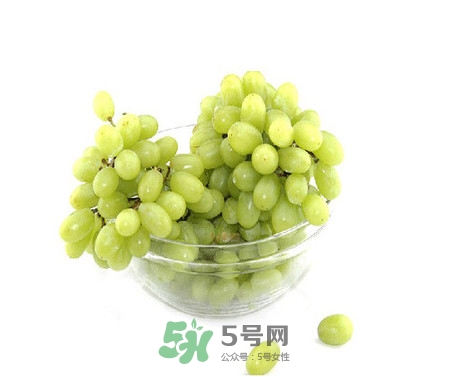 馬奶葡萄是提子嗎？馬奶葡萄怎么洗？