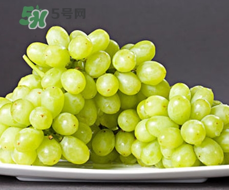 馬奶葡萄是只有新疆有嗎？綠馬奶葡萄為什么發(fā)澀