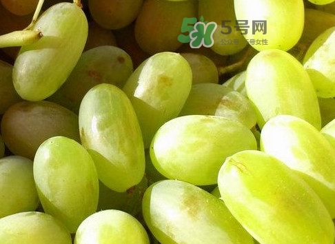 馬奶葡萄是提子嗎？馬奶葡萄怎么洗？