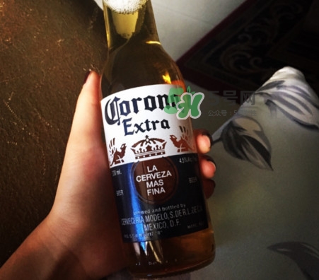 科羅娜啤酒多少度？科羅娜啤酒怎么樣