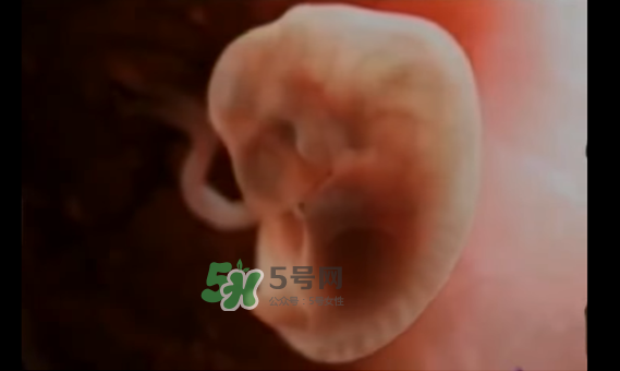 懷孕初期怎么保胎？陰道出血是流產(chǎn)征兆嗎？