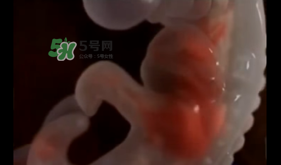 懷孕初期怎么保胎？陰道出血是流產(chǎn)征兆嗎？