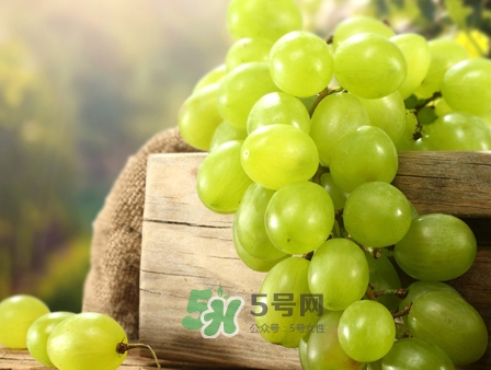 馬奶葡萄幾月成熟？吃馬奶葡萄有什么好處？