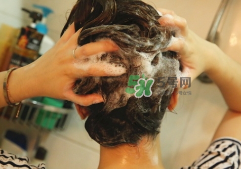 hair recipe洗發(fā)水多少錢？hair recipe水果洗發(fā)水保質(zhì)期