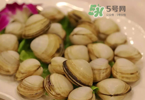 花蛤可以放冰箱冷凍嗎？花蛤放冰箱保鮮能吃嗎？