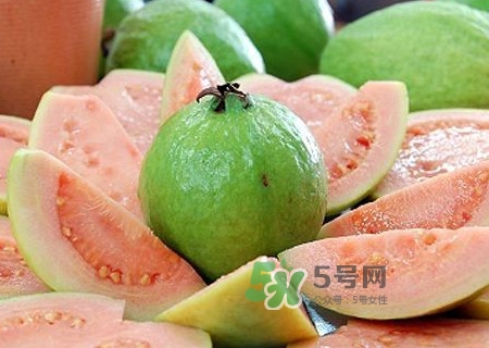 新鮮芭樂可以放幾天？芭樂能放多久