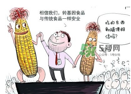 雜交水稻是不是轉(zhuǎn)基因？轉(zhuǎn)基因食品有哪些？