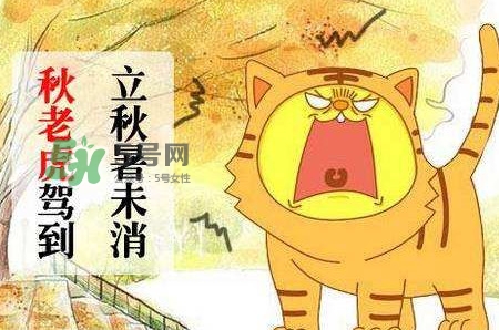 秋老虎熱嗎？末伏熱還是秋老虎熱？