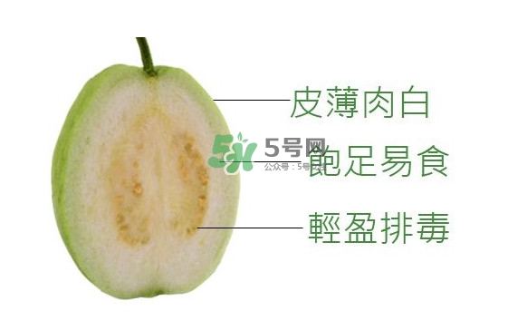 芭樂可以減肥嗎？吃芭樂可以喝牛奶嗎？