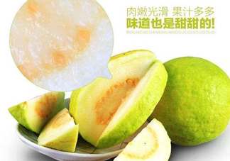 芭樂和番石榴有什么區(qū)別？芭樂和番石榴的區(qū)別