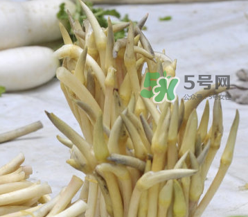 2017年藕帶什么時(shí)候下市？藕帶下市時(shí)間是幾月？
