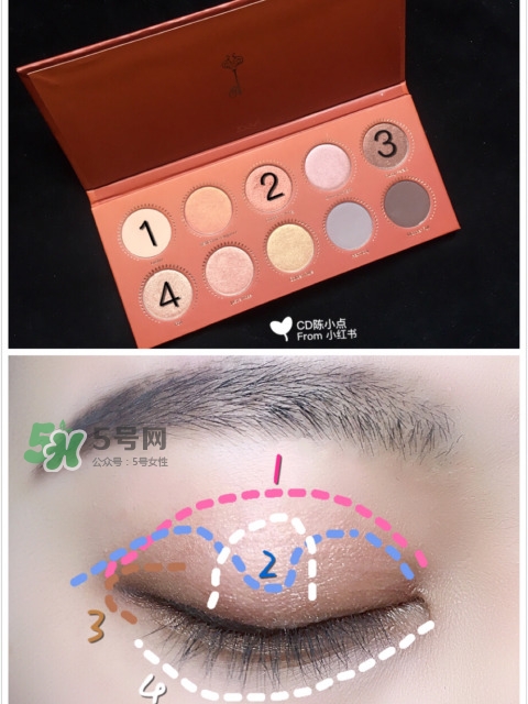 zoeva玫瑰金眼影盤(pán)怎么畫(huà)？zoeva rose golden畫(huà)法教程