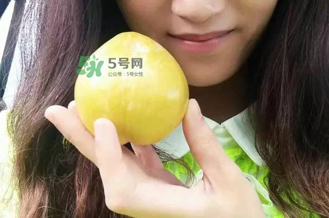 奈李是什么水果？奈李為什么會空心