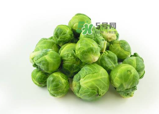 立秋可以種甘藍嗎？九月份能種甘藍嗎？