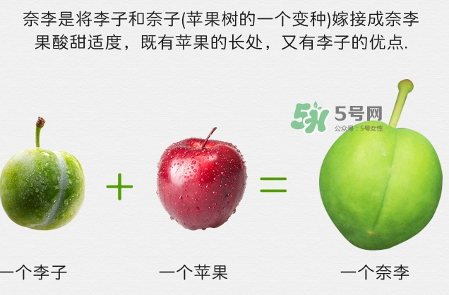 月經期間可以吃奈李嗎？來月經可以吃奈李嗎