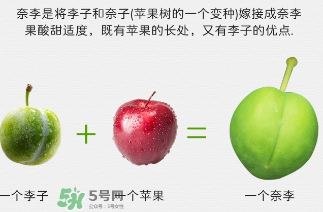 寶寶可以吃奈李嗎？寶寶多大可以吃奈李