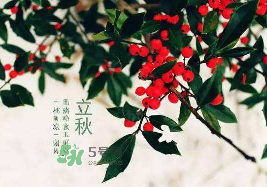 立秋為什么在處暑前？為什么立秋早過(guò)處暑？